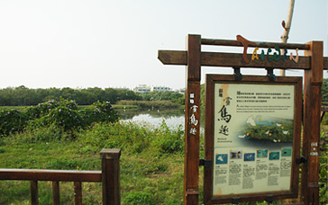 嘉蓮社區的濕地公園