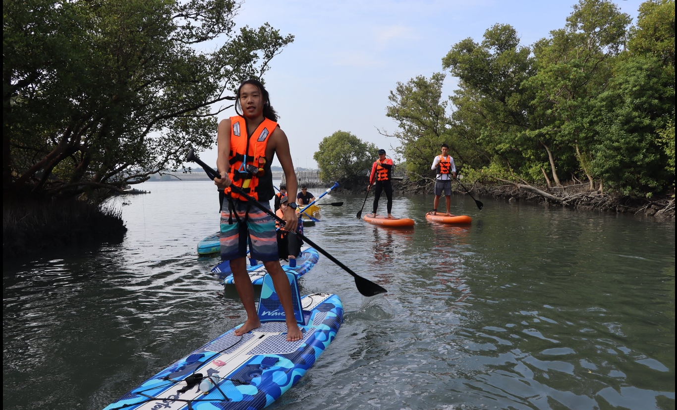 Exploration des mangroves en SUP