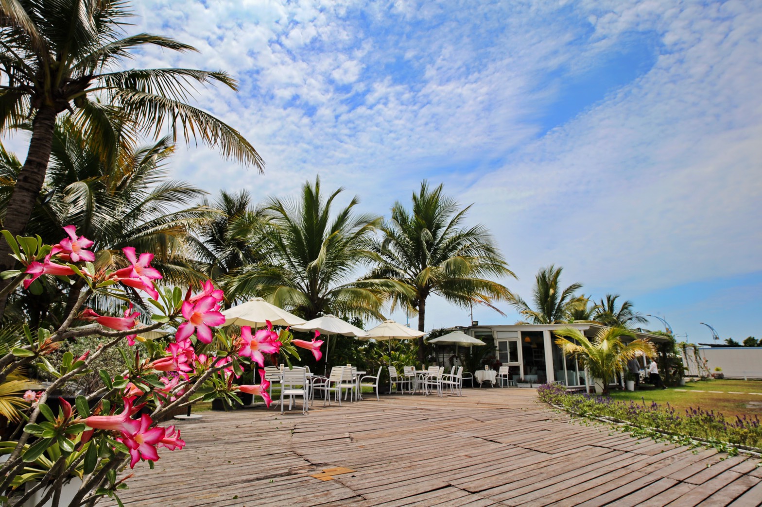 Windsurfing Café