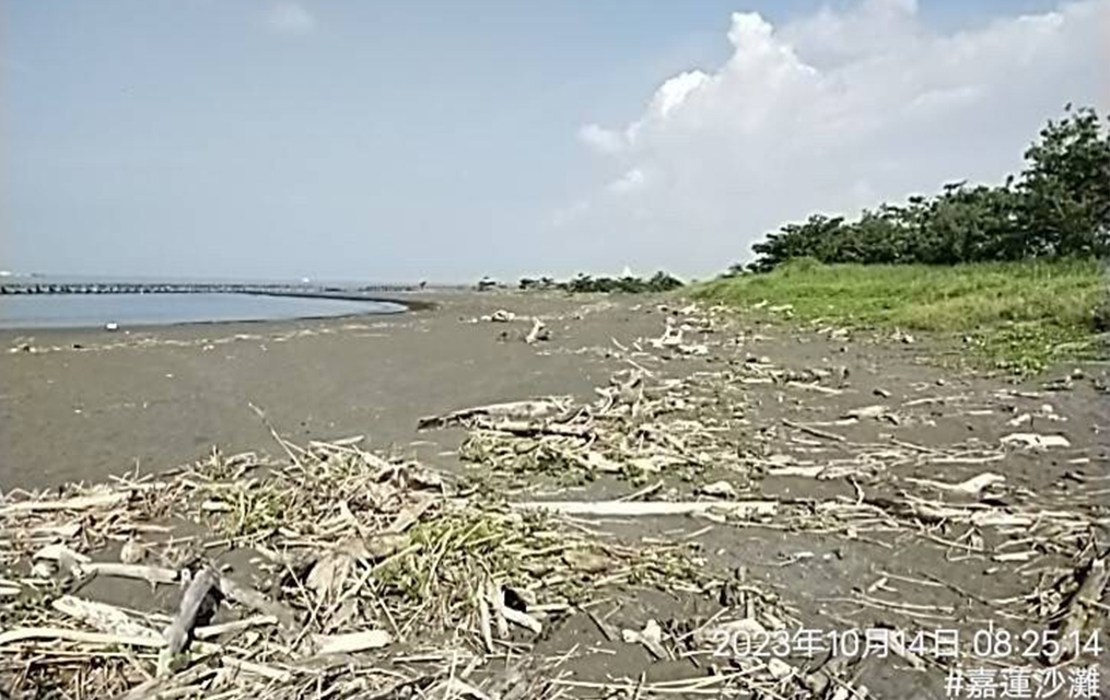 嘉蓮沙灘