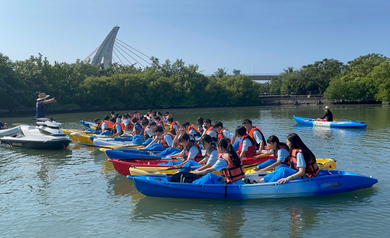 Exploration des mangroves en canoë