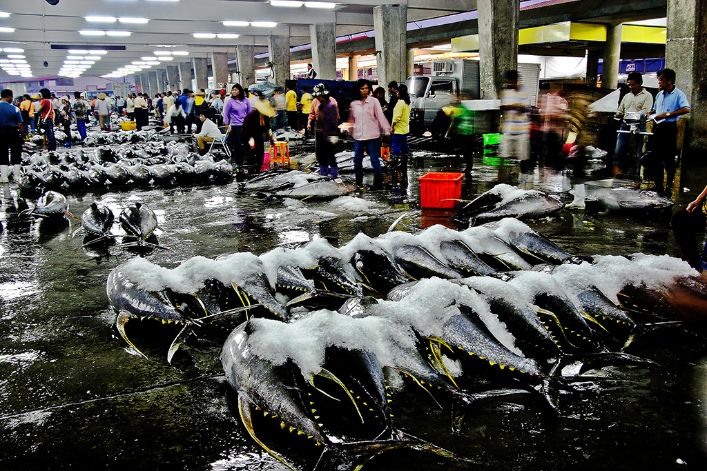 東港魚市場