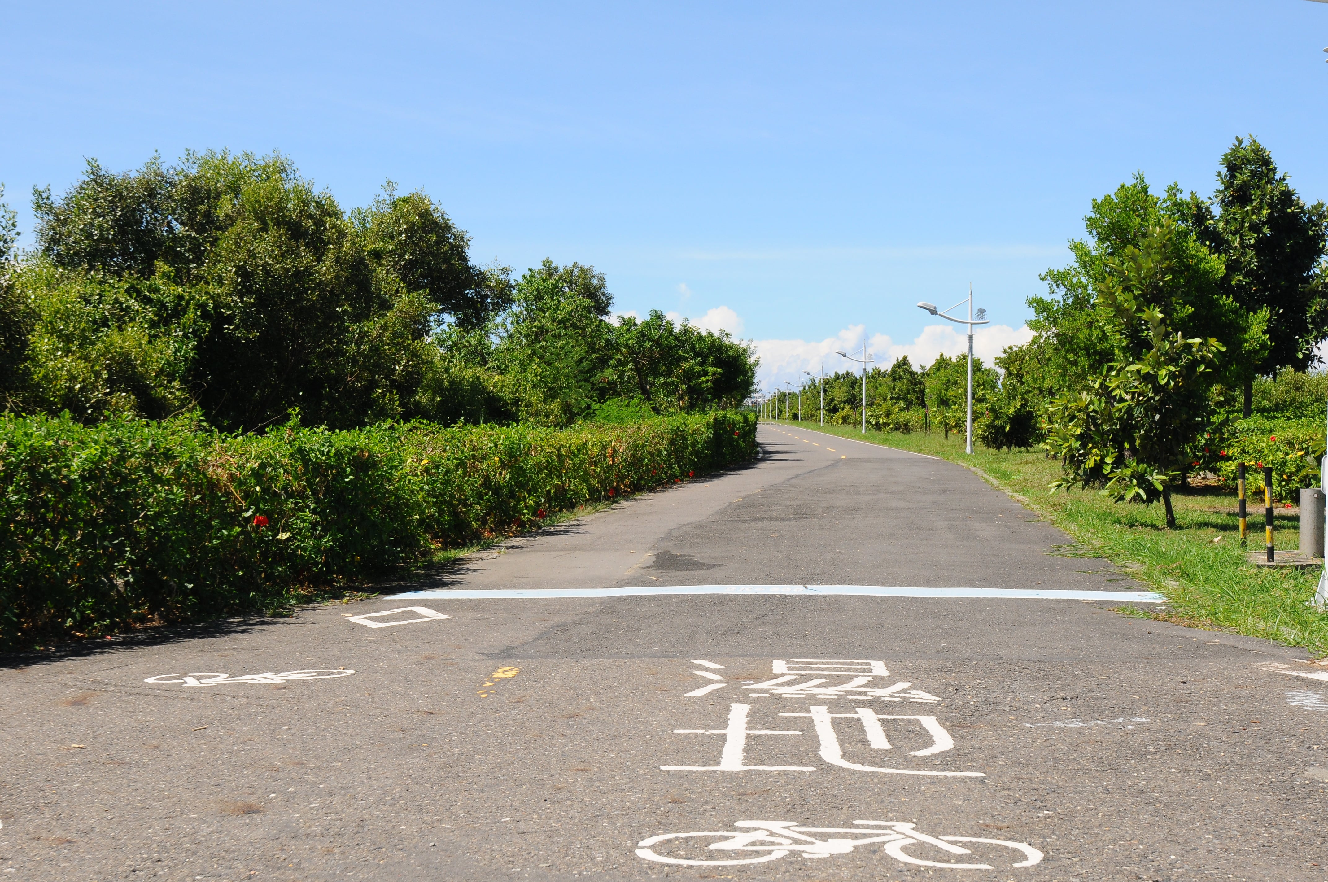 環灣自行車道 環灣自行車道