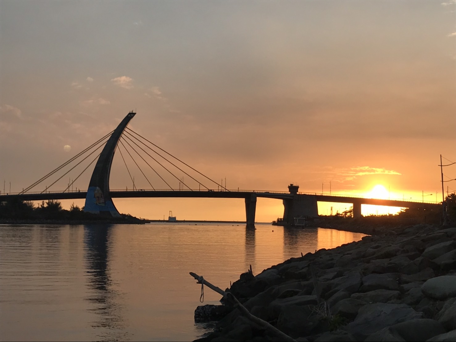 大鵬灣跨海大橋下的紅樹林溼地公園 大鵬灣跨海大橋下的紅樹林溼地公園