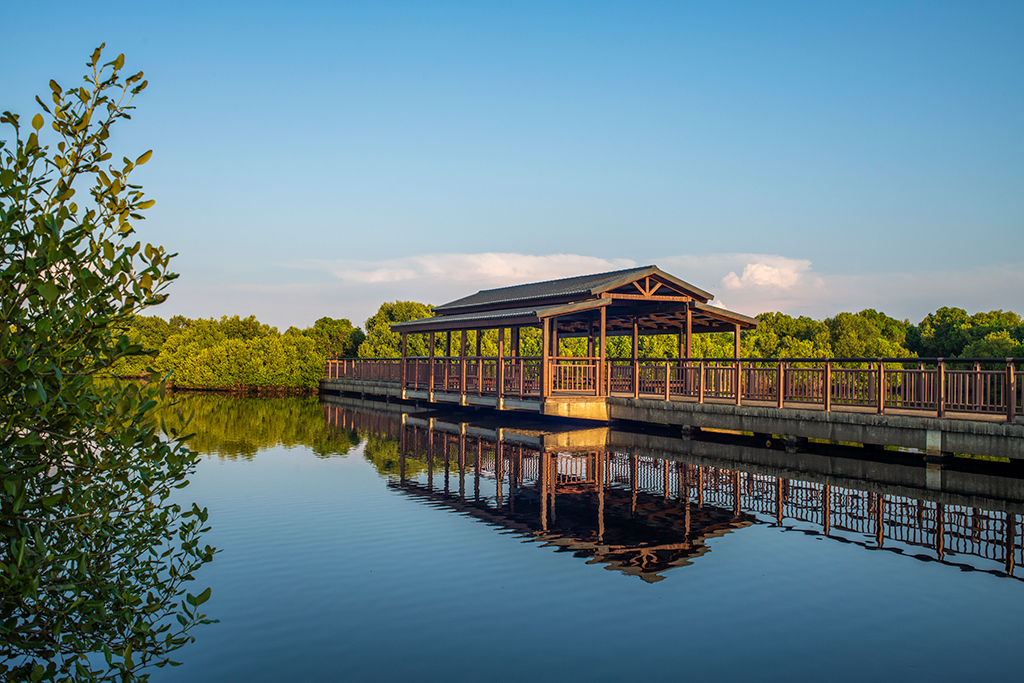 Wetland Conservation