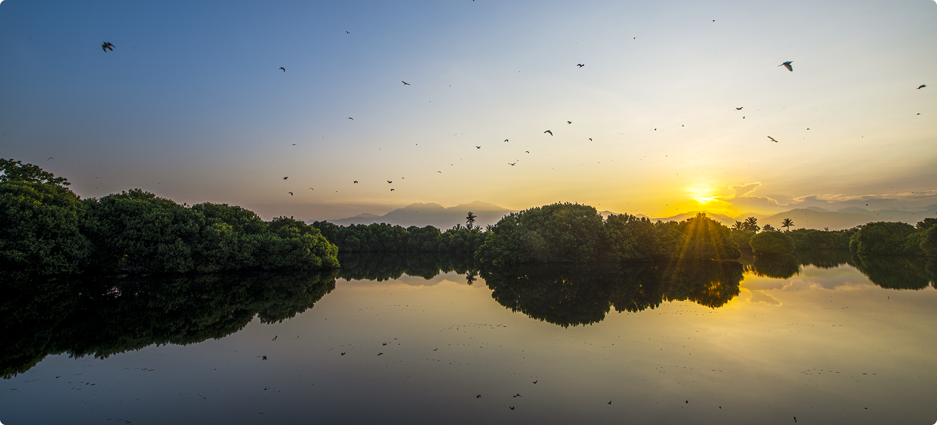 Tourism and Nature Thriving Together