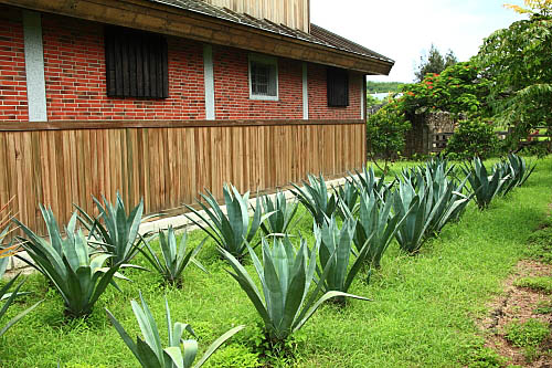 瓊麻工業展示區