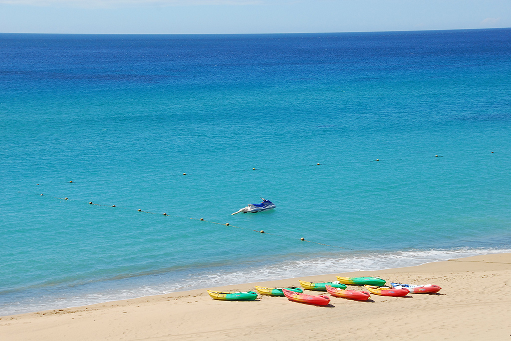 砂島貝殼砂展示館