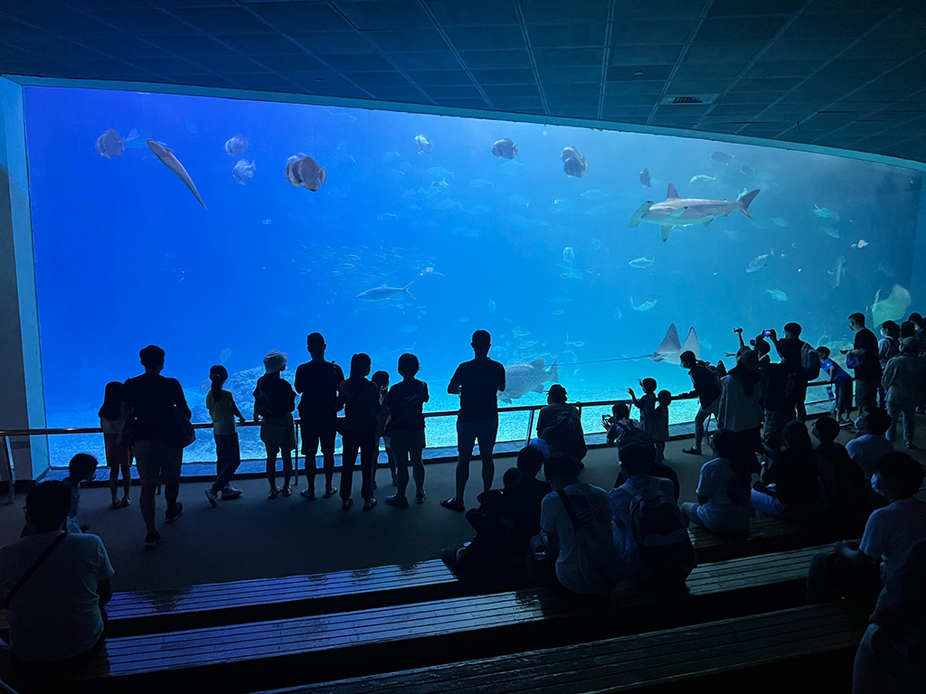 國立海洋生物博物館