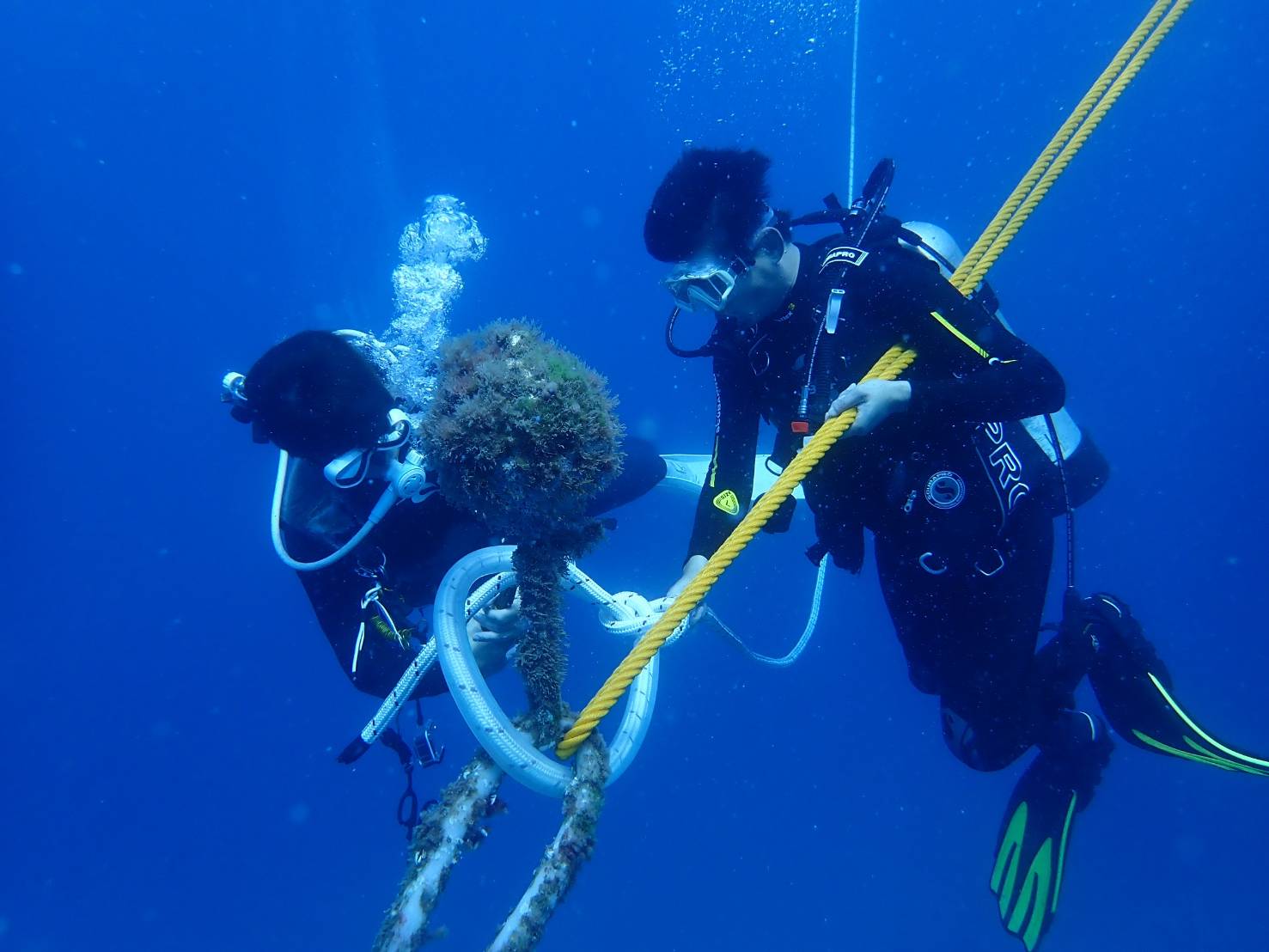繫錨浮球海底作業情形