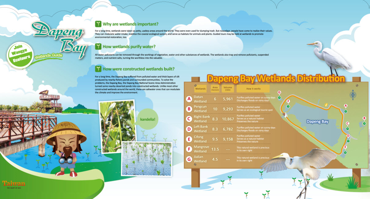 Dapeng Bay Wetlands Guide
