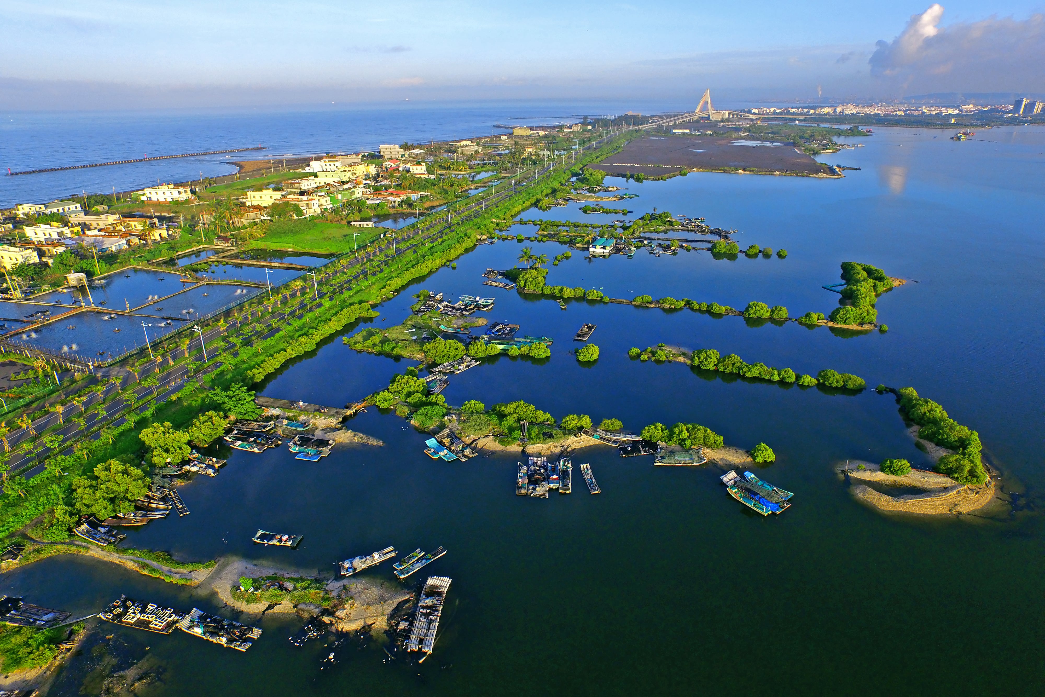 Day Trip to Dapeng Bay for Elders