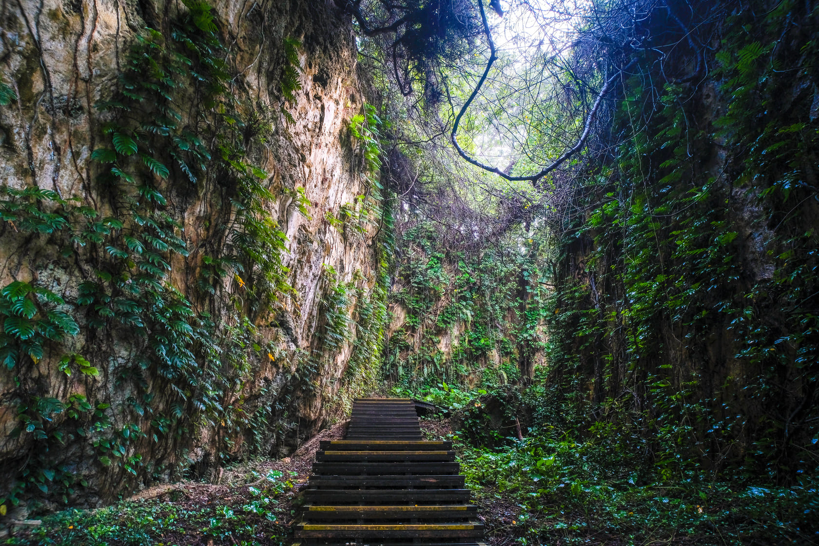 山豬溝步道