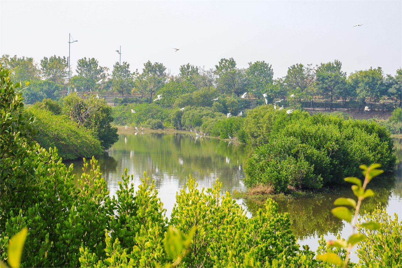 Datan Wetland Ecological Park