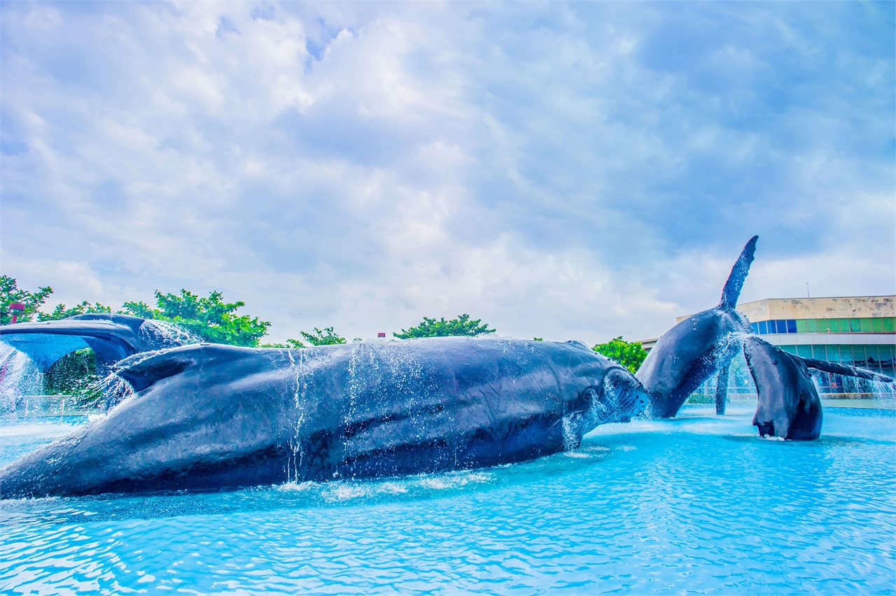 國立海洋生物博物館廣場