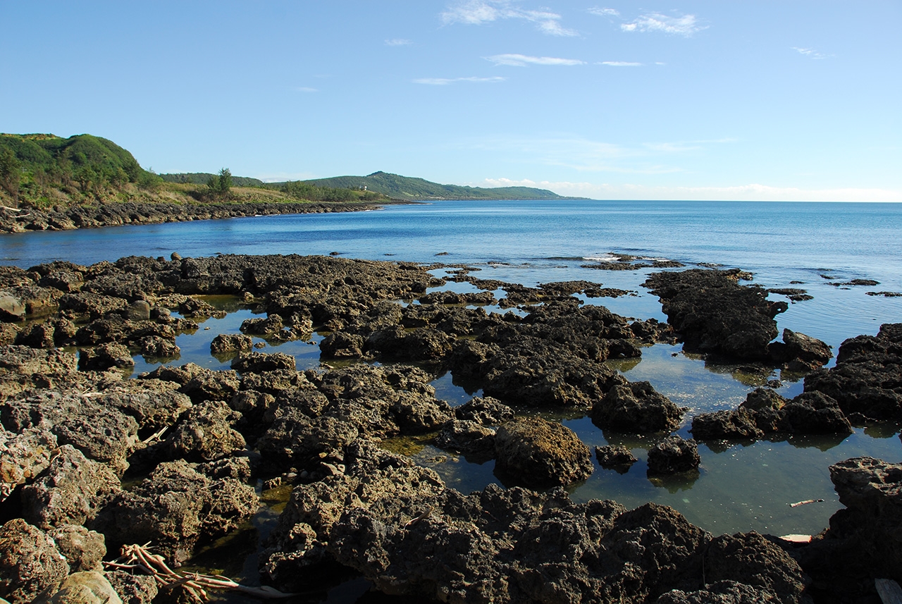 Intertidal-zone coasts