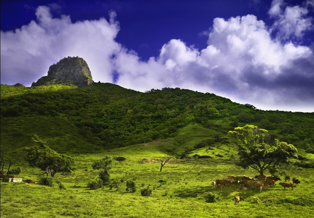 Overlooking mountains