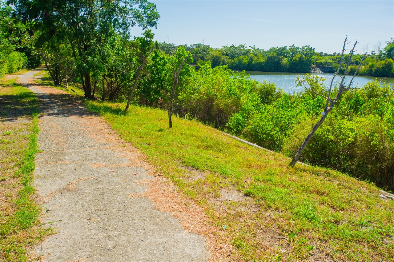 Sentier du parc écologique des zones humides de mangroves