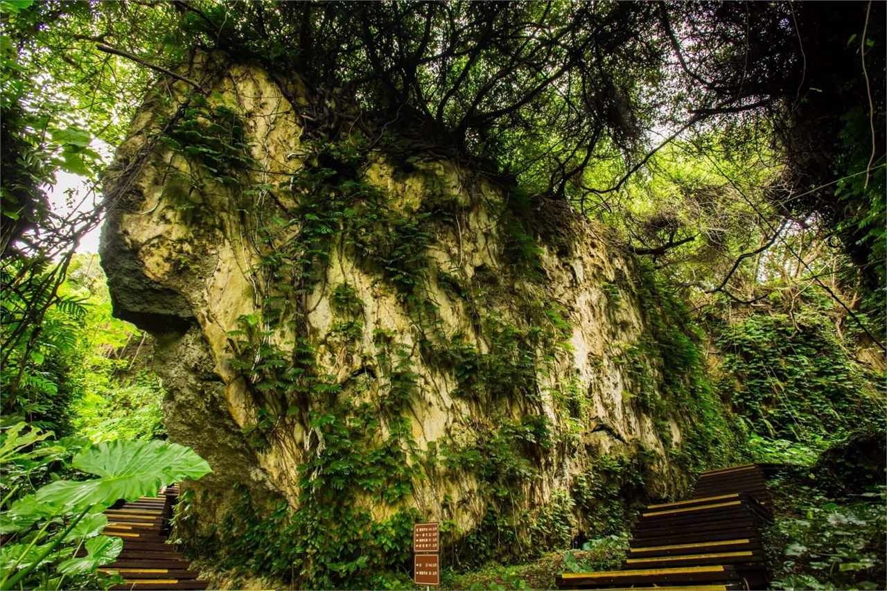 山豬溝階梯步道