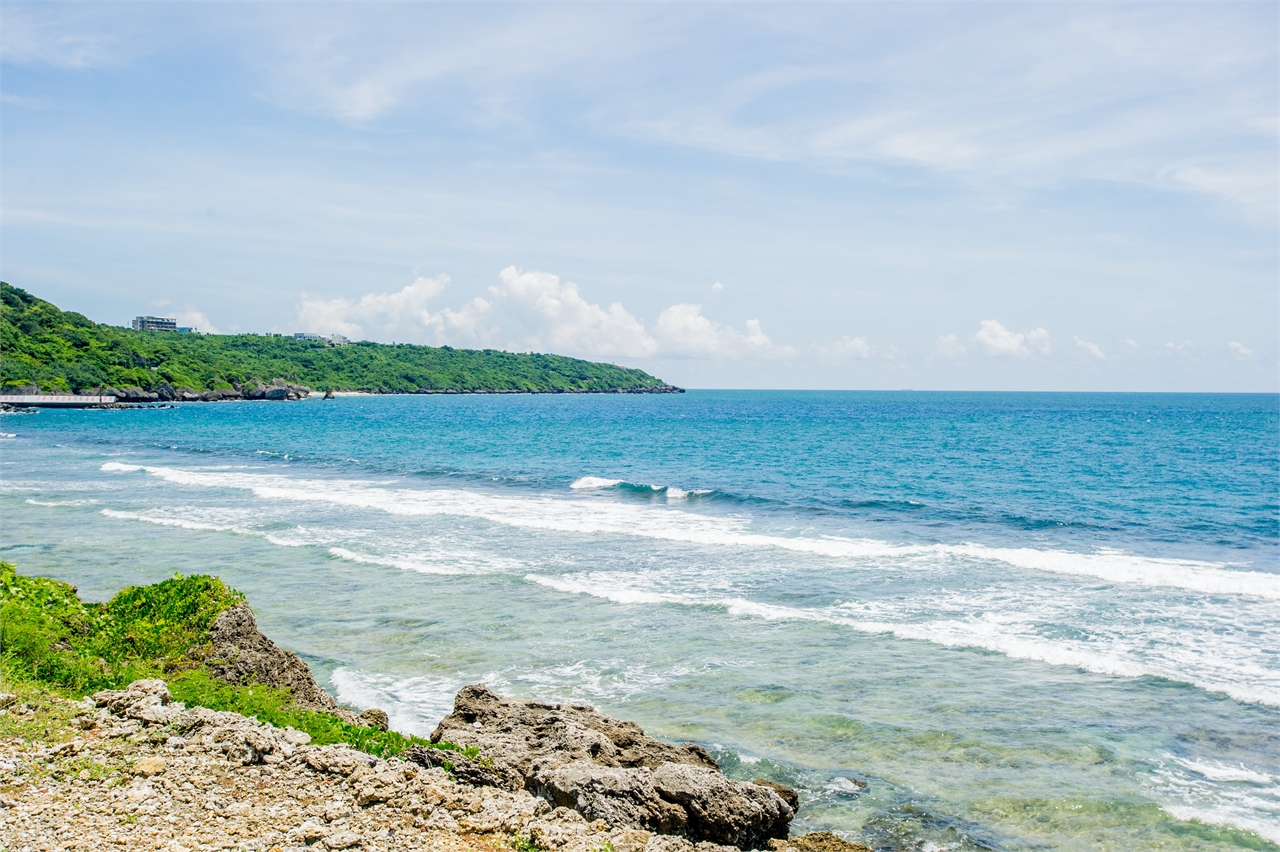 Intertidal-zone coasts