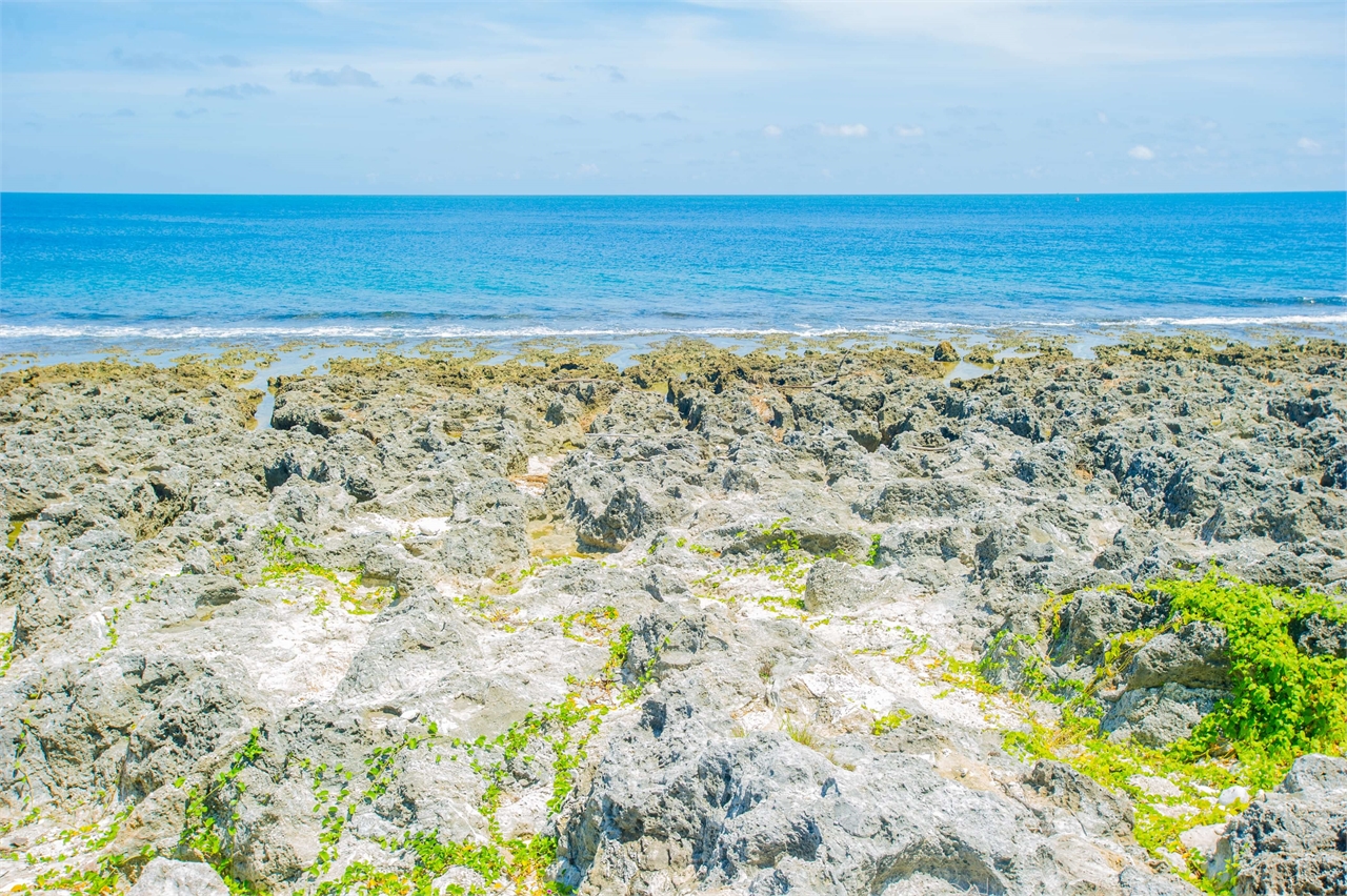 Sea-groove coral reef rocks