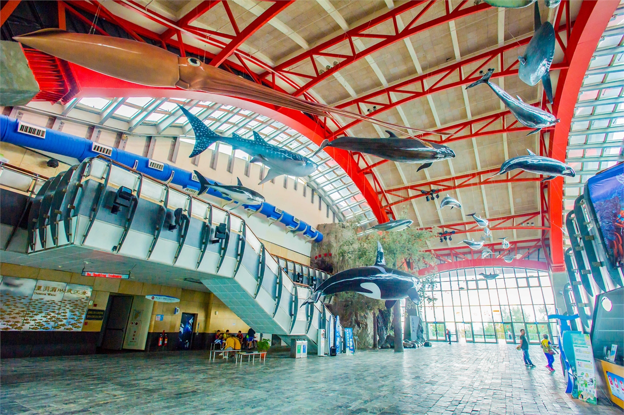 國立海洋生物博物館展示館