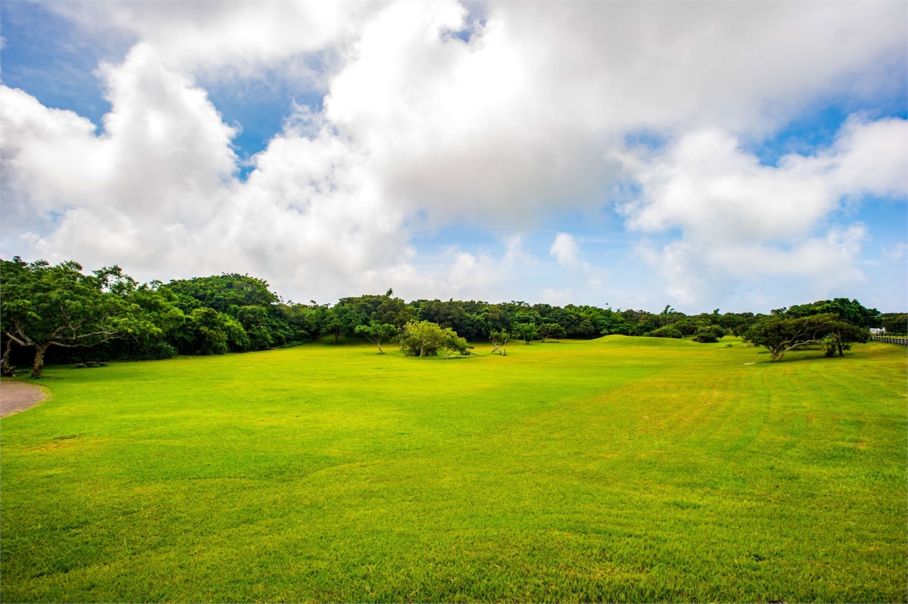 Sheding-Naturpark-Rasen