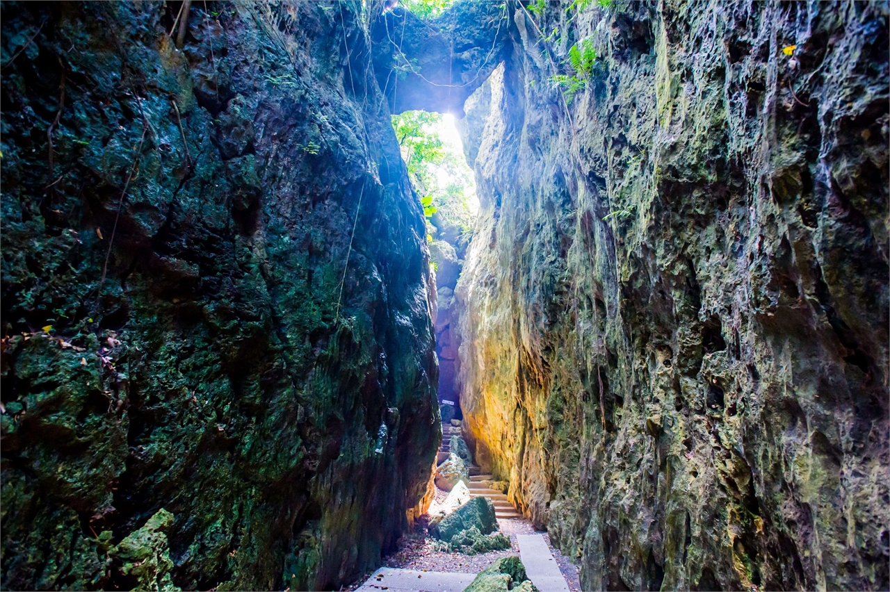 Views of a limestone cave 