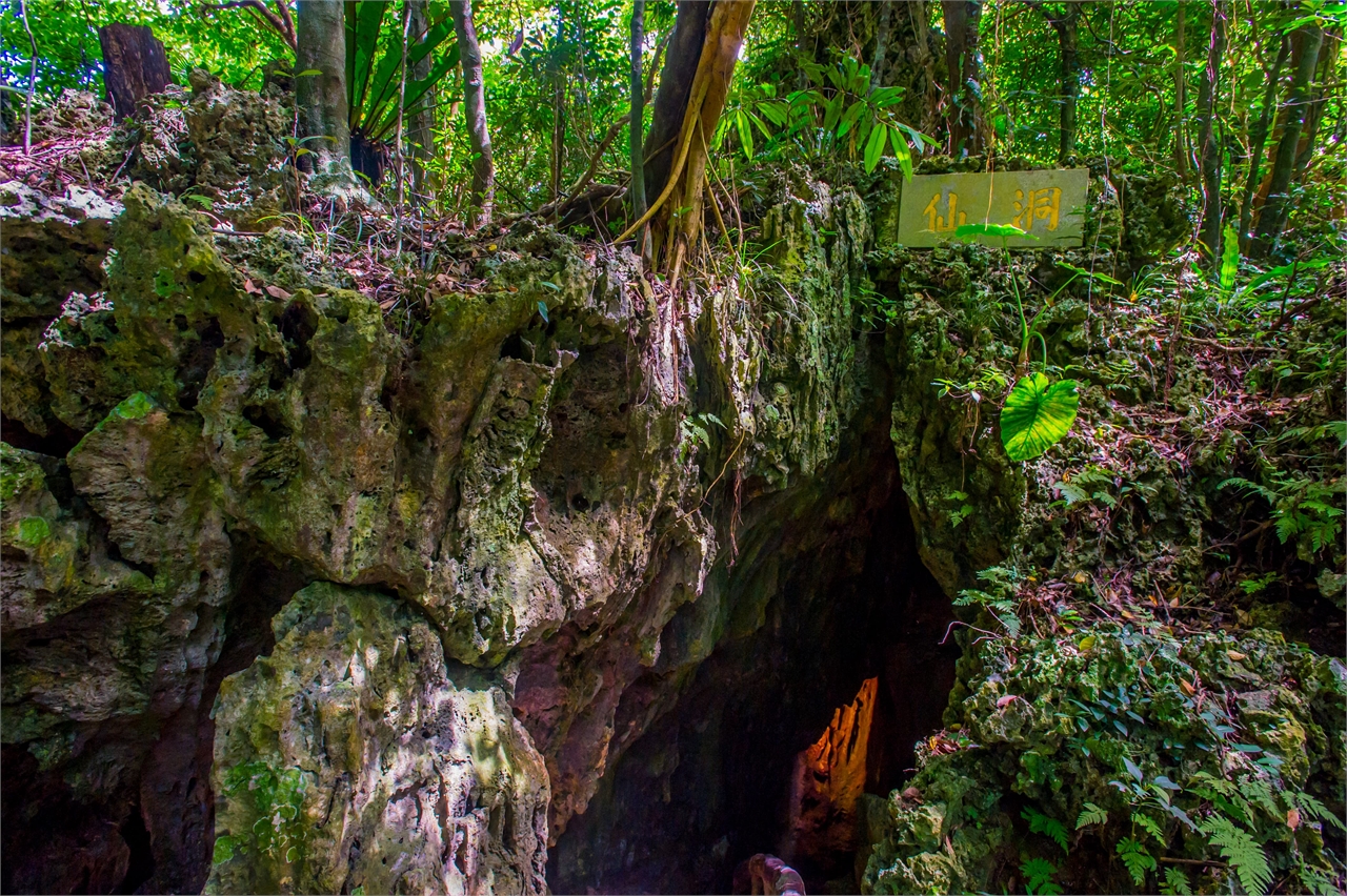 鍾乳石によってできた洞窟