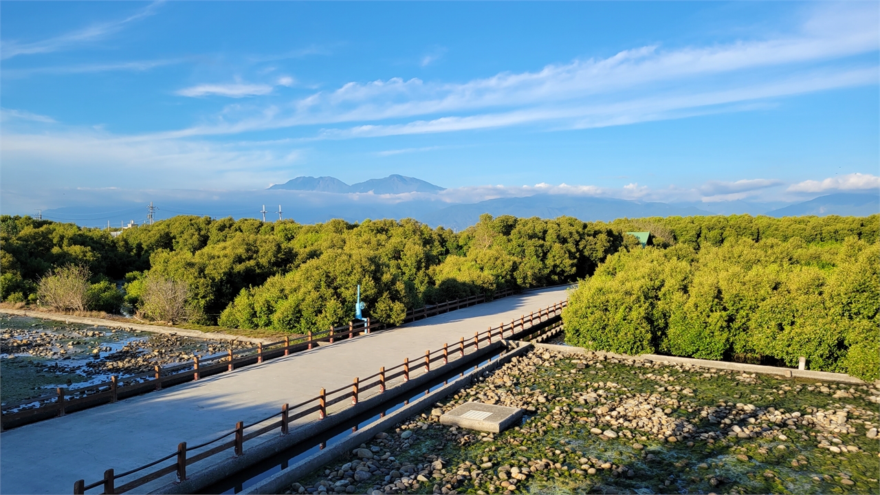 右岸濕地一景