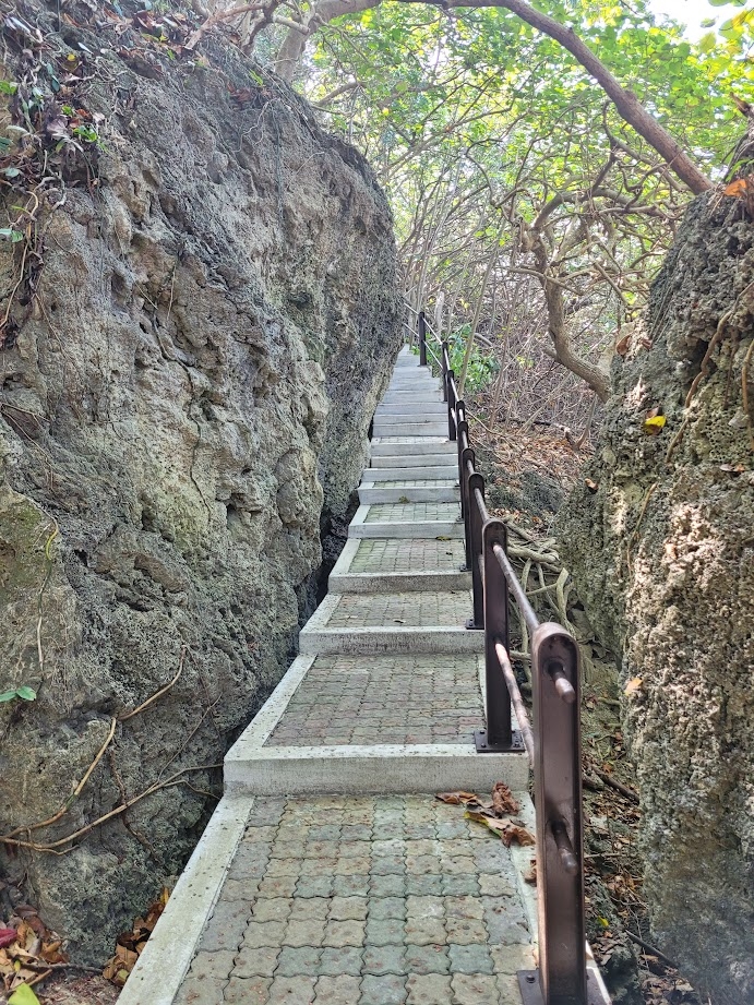 From Boar Trench to Clam Bay