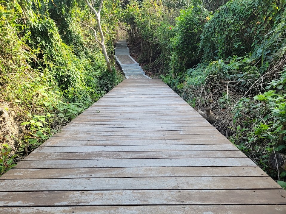 蛤板灣至太子爺廟道路