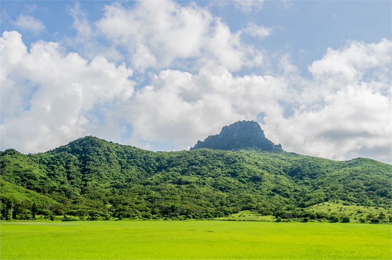 園内で森林浴