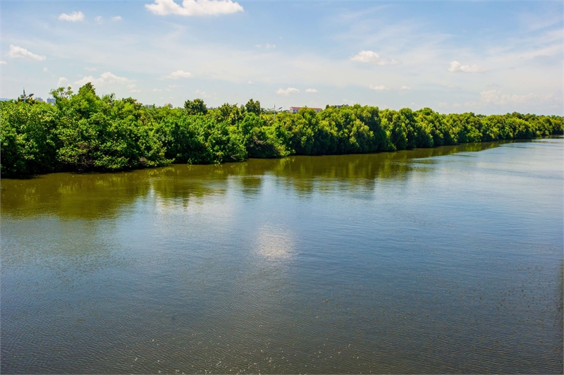 Côté gauche de la zone humide de la rive gauche