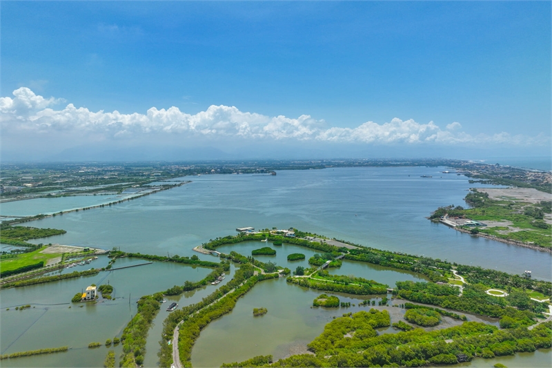 Dapeng Bay Constructed Wetland