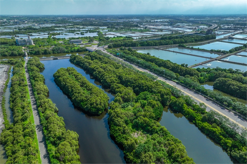 Left Bank Wetland Park