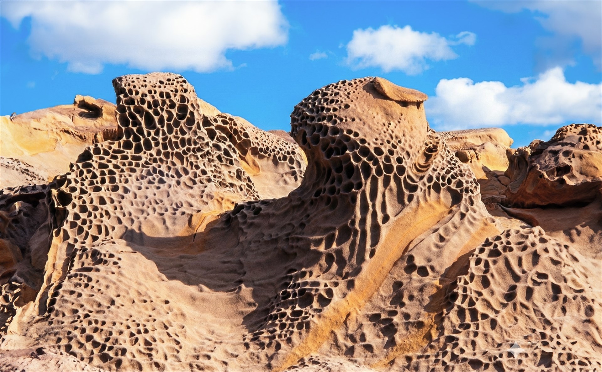 珊瑚礁岩與沙岩沿岸