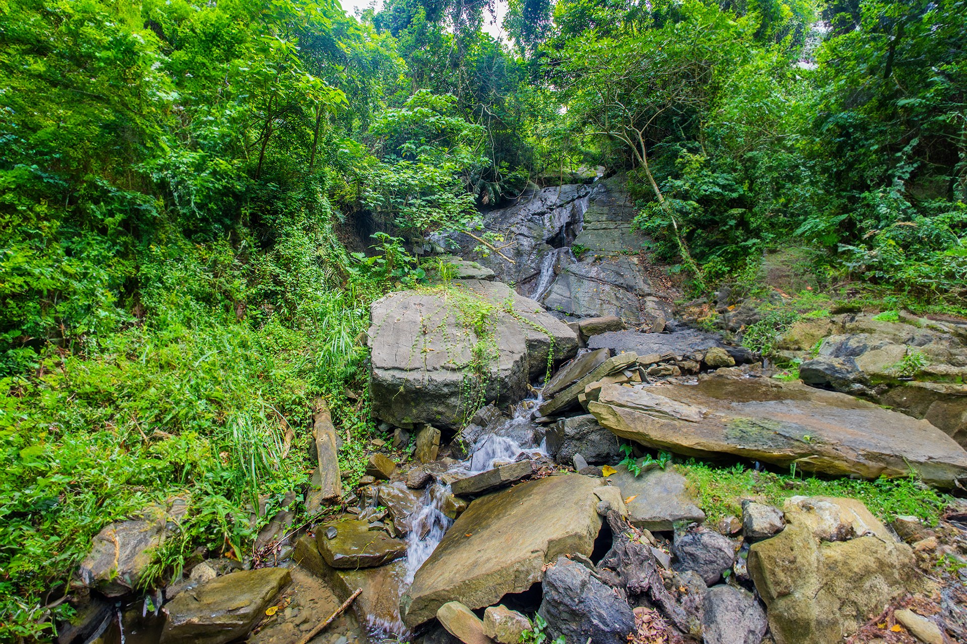 健行、享受山野景趣的好去處