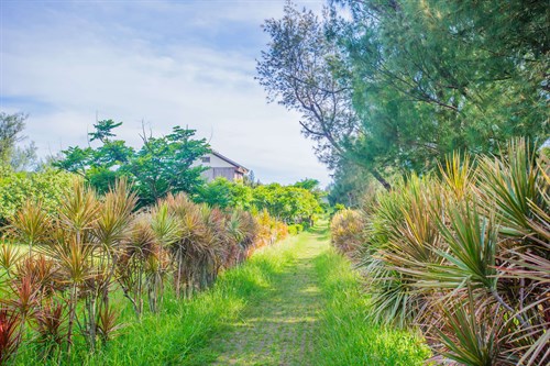 瓊麻工業歷史展示區