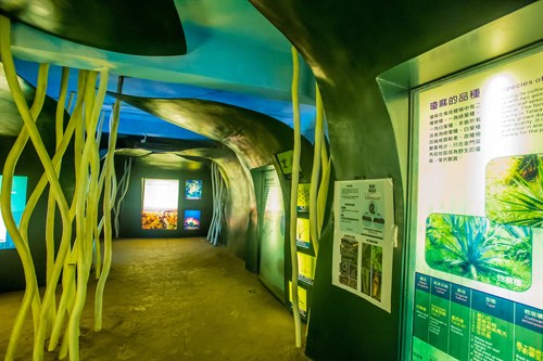 瓊麻工業歷史展示區