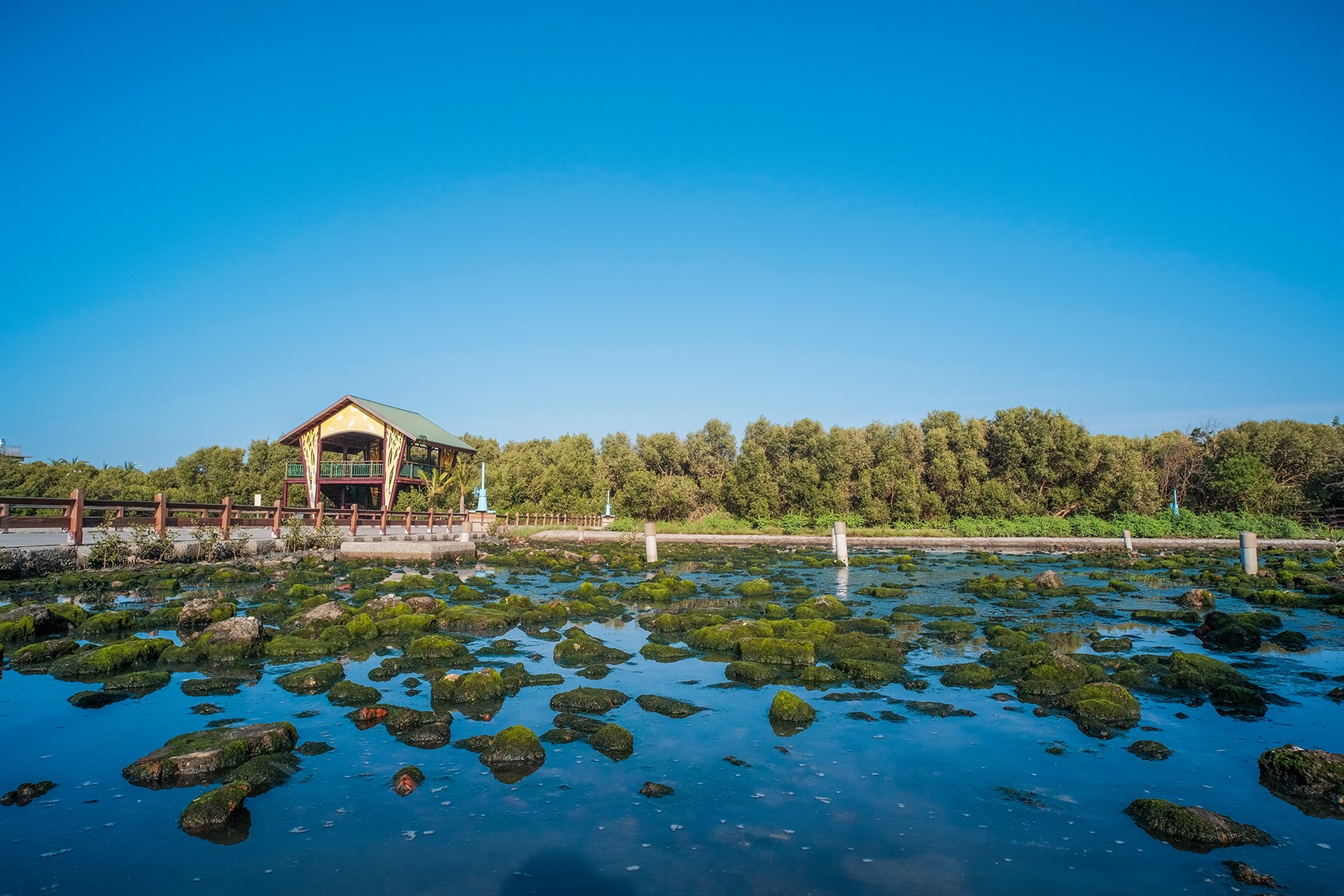 右岸濕地內一景
