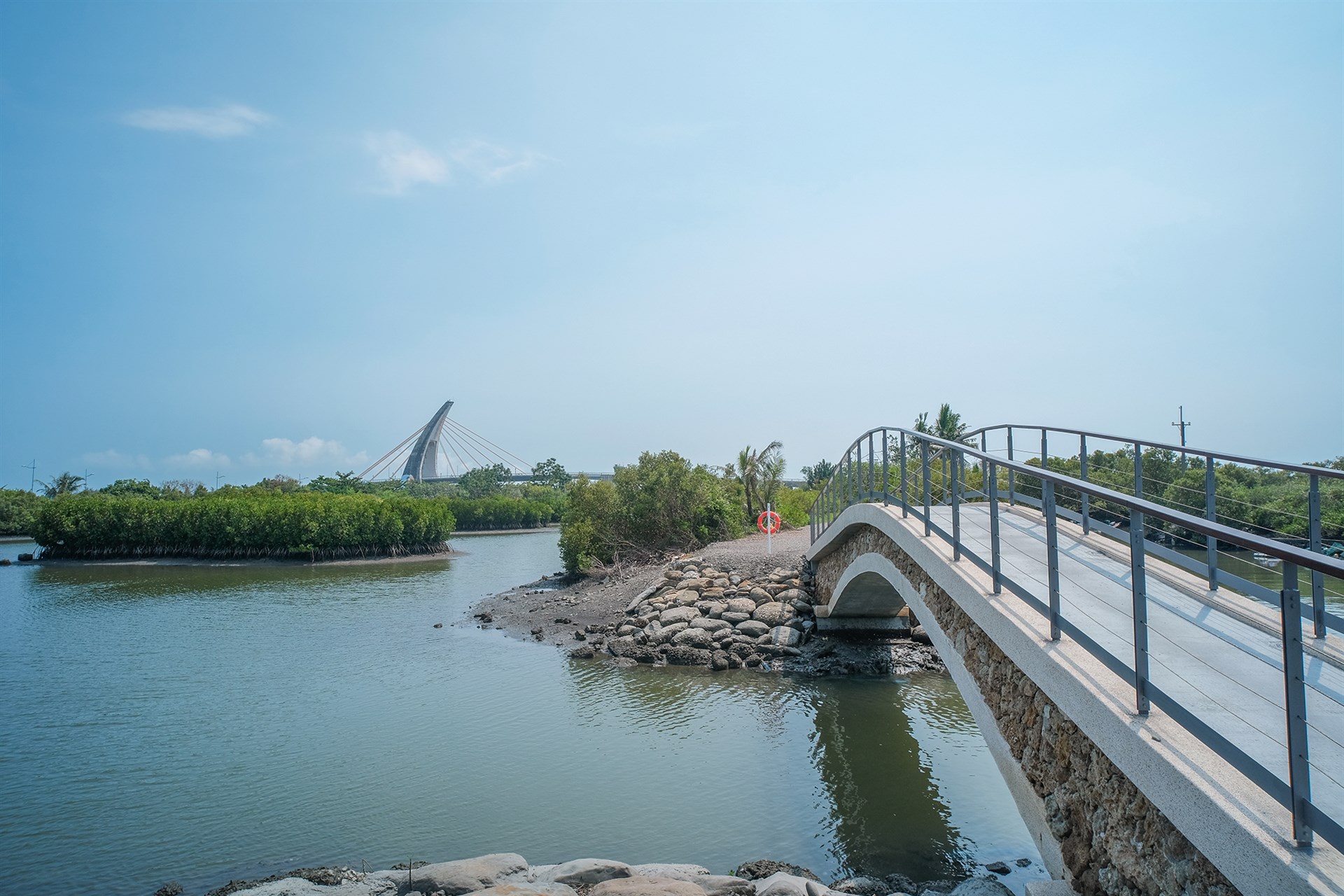 紅樹林濕地步道