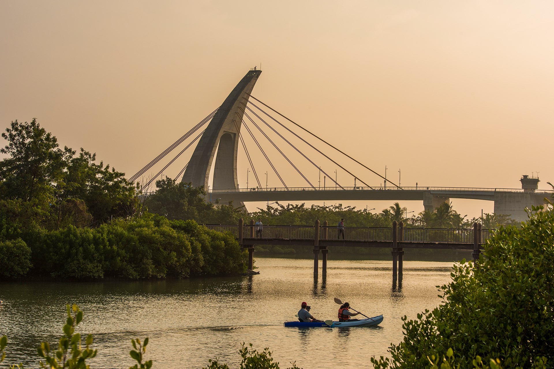 遊客在紅樹林探索水域遊憩活動
