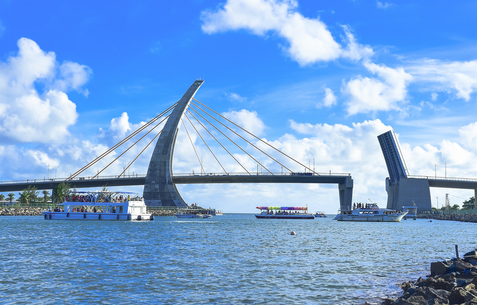 鵬灣跨海大橋開橋秀