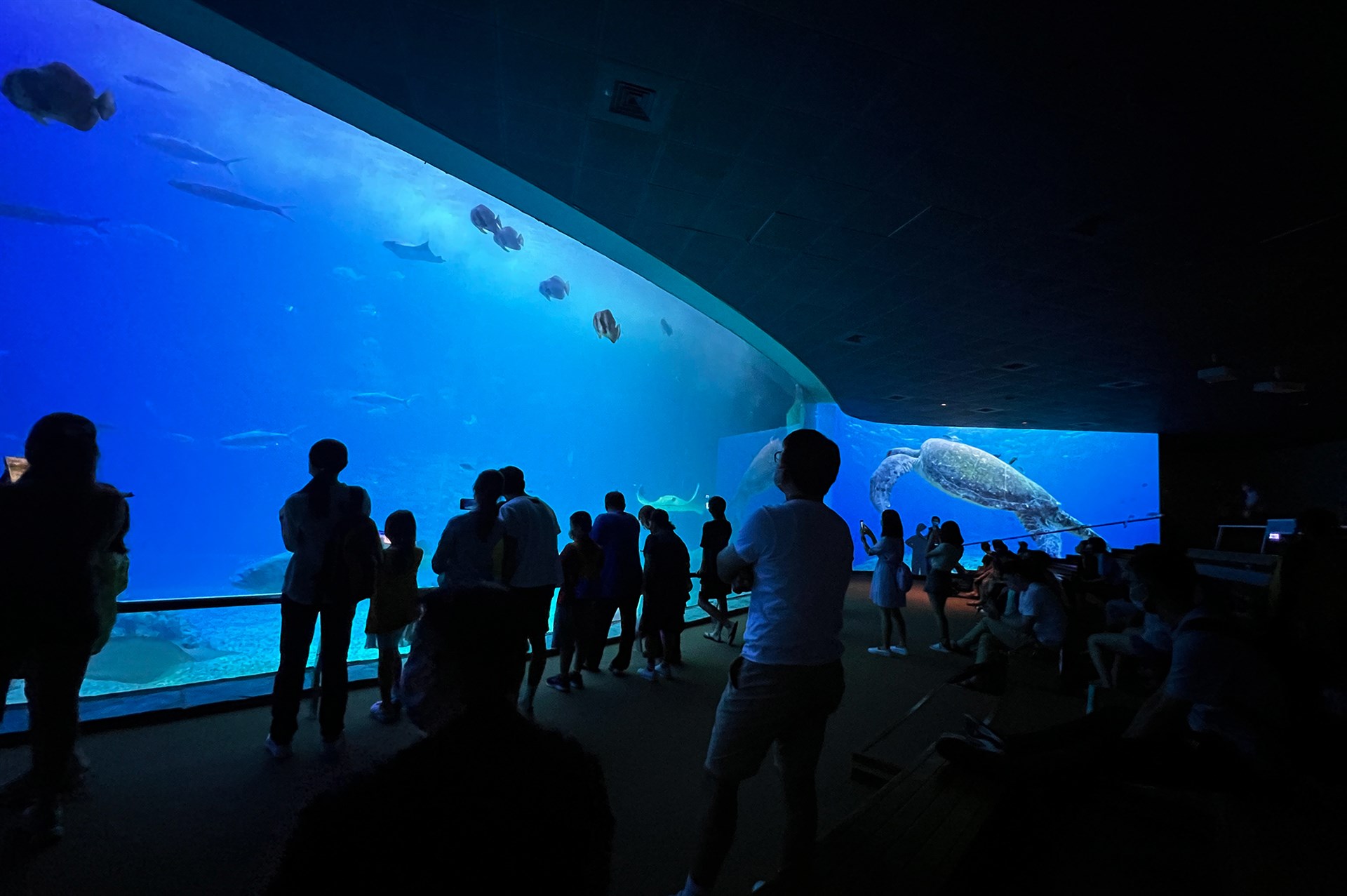 國立海洋生物博物館展示館