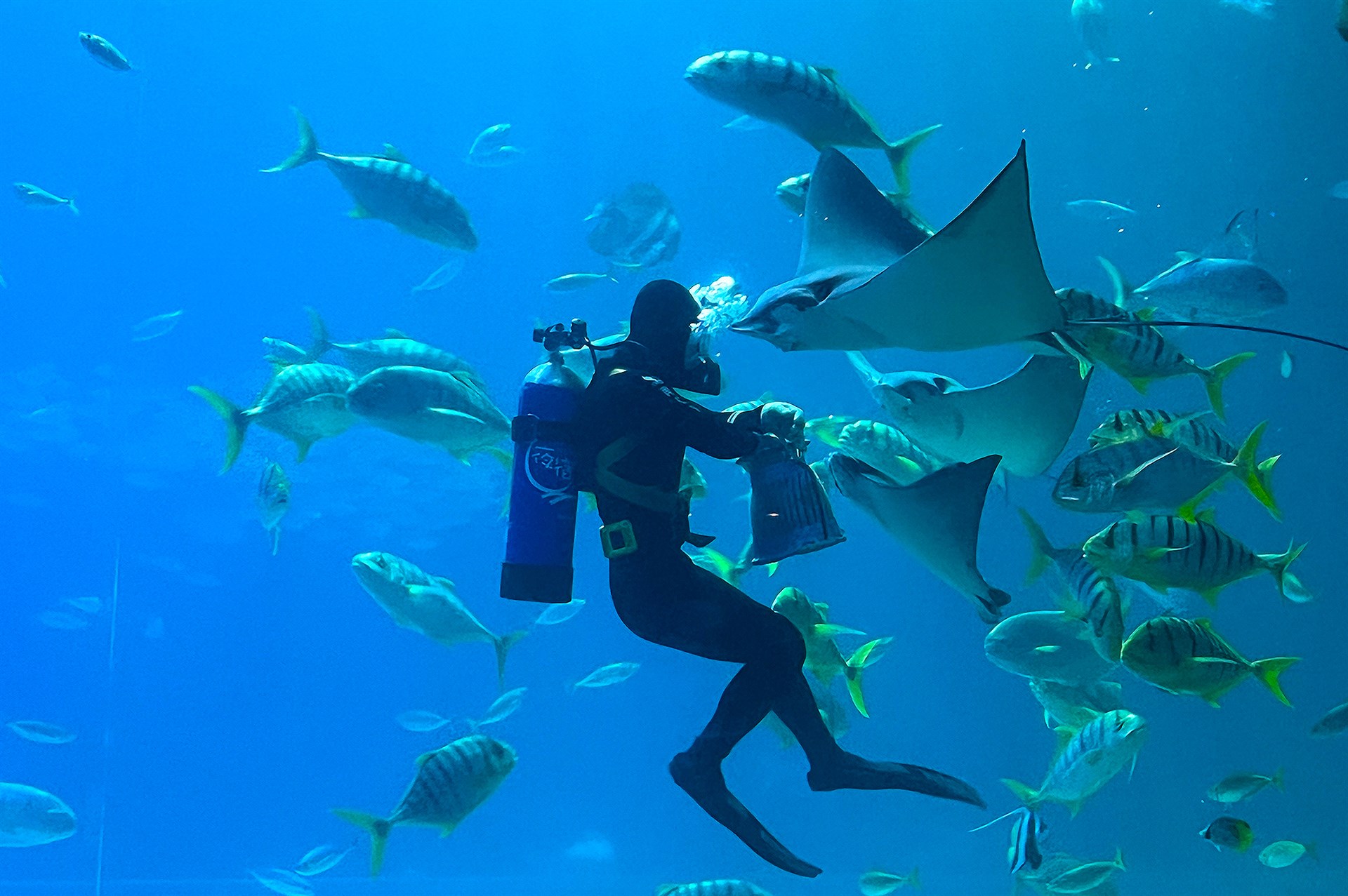 國立海洋生物博物館展示館